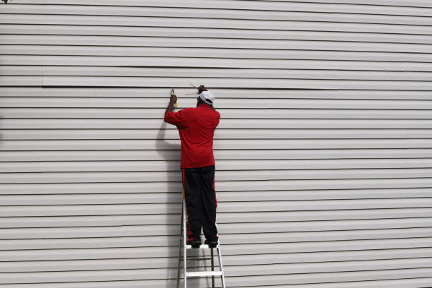 Best Historical Building Siding Restoration  in Fairfax, SC